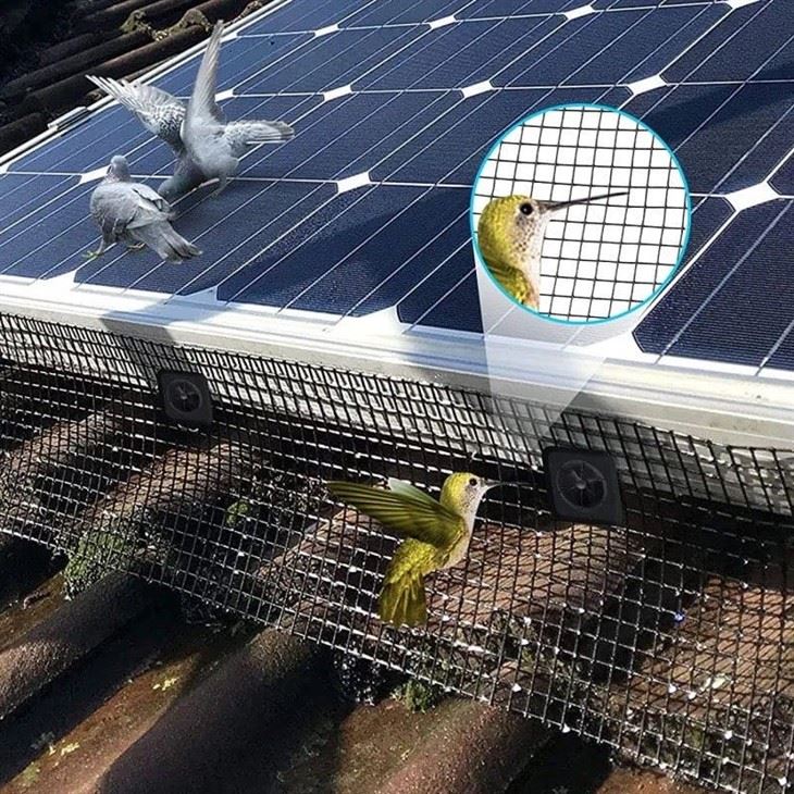 Solar Panel Bird Guard application scene Solar Panel Bird Guard application scene